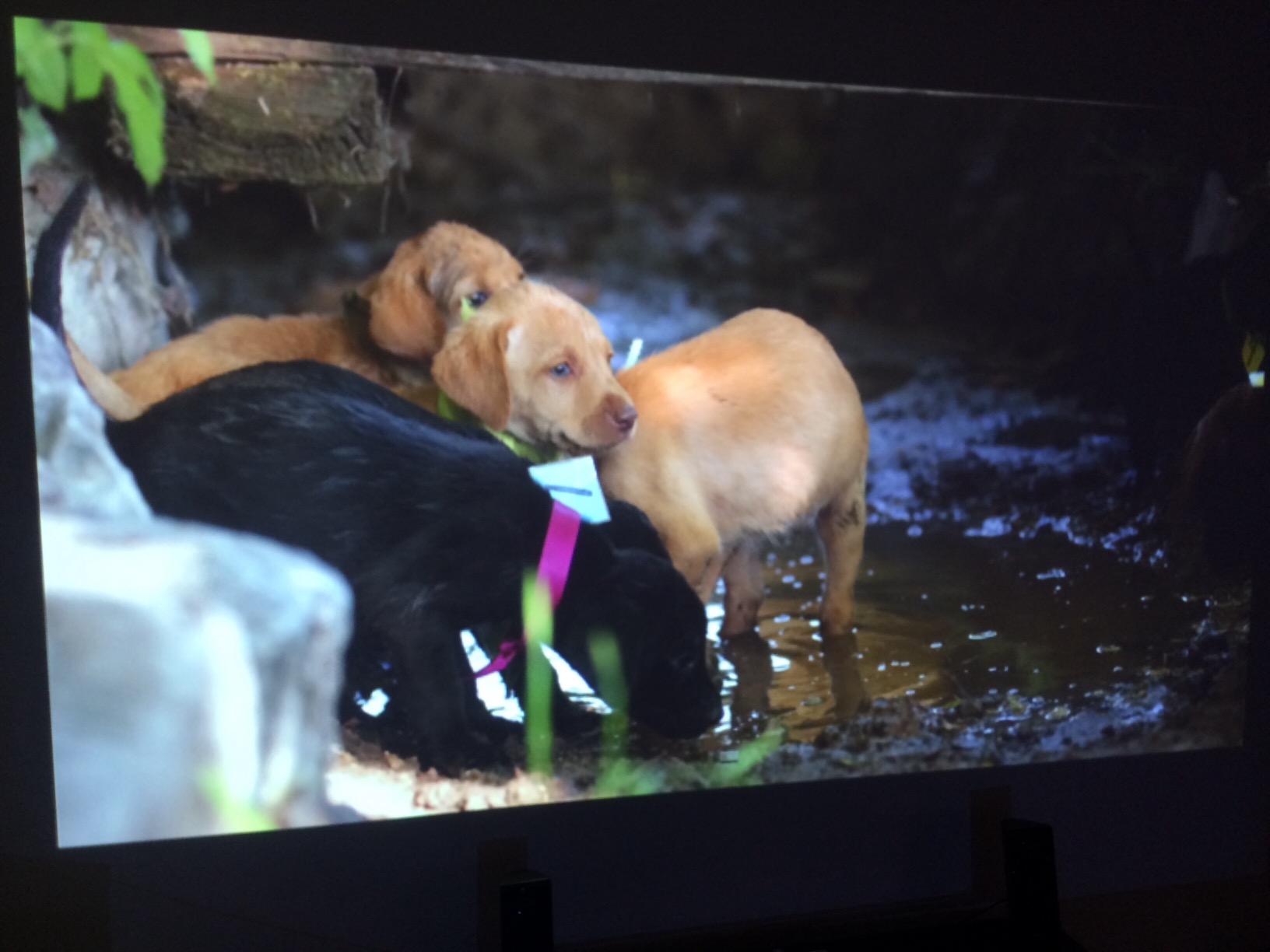 Epson EX3220, SVGA, 3000 Lumens Color Brightness (color light output), 3000 Lumens White Brightness, 3LCD Projector customer photo 1