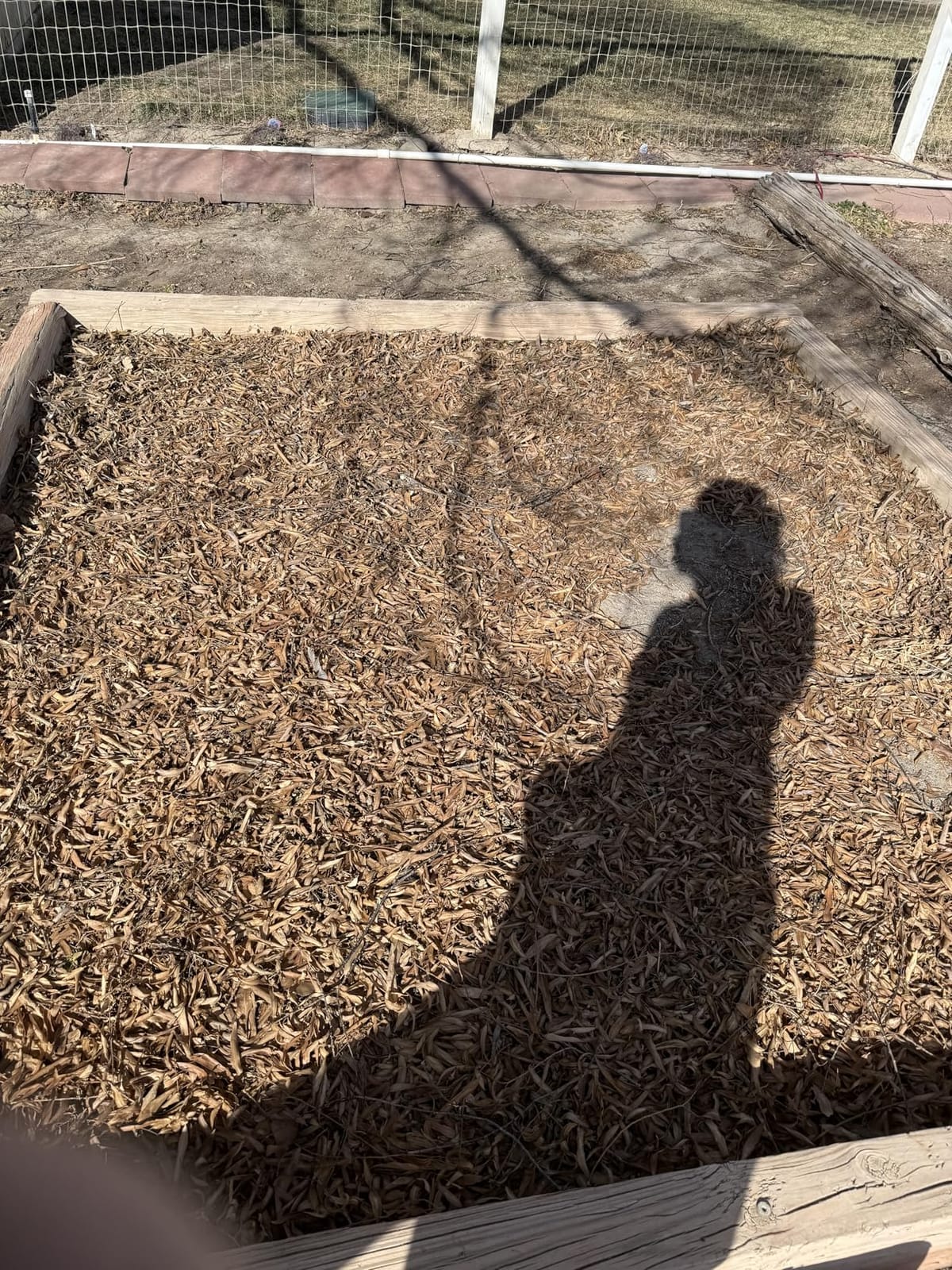 BLACK+DECKER BV6000 customer photo 2
