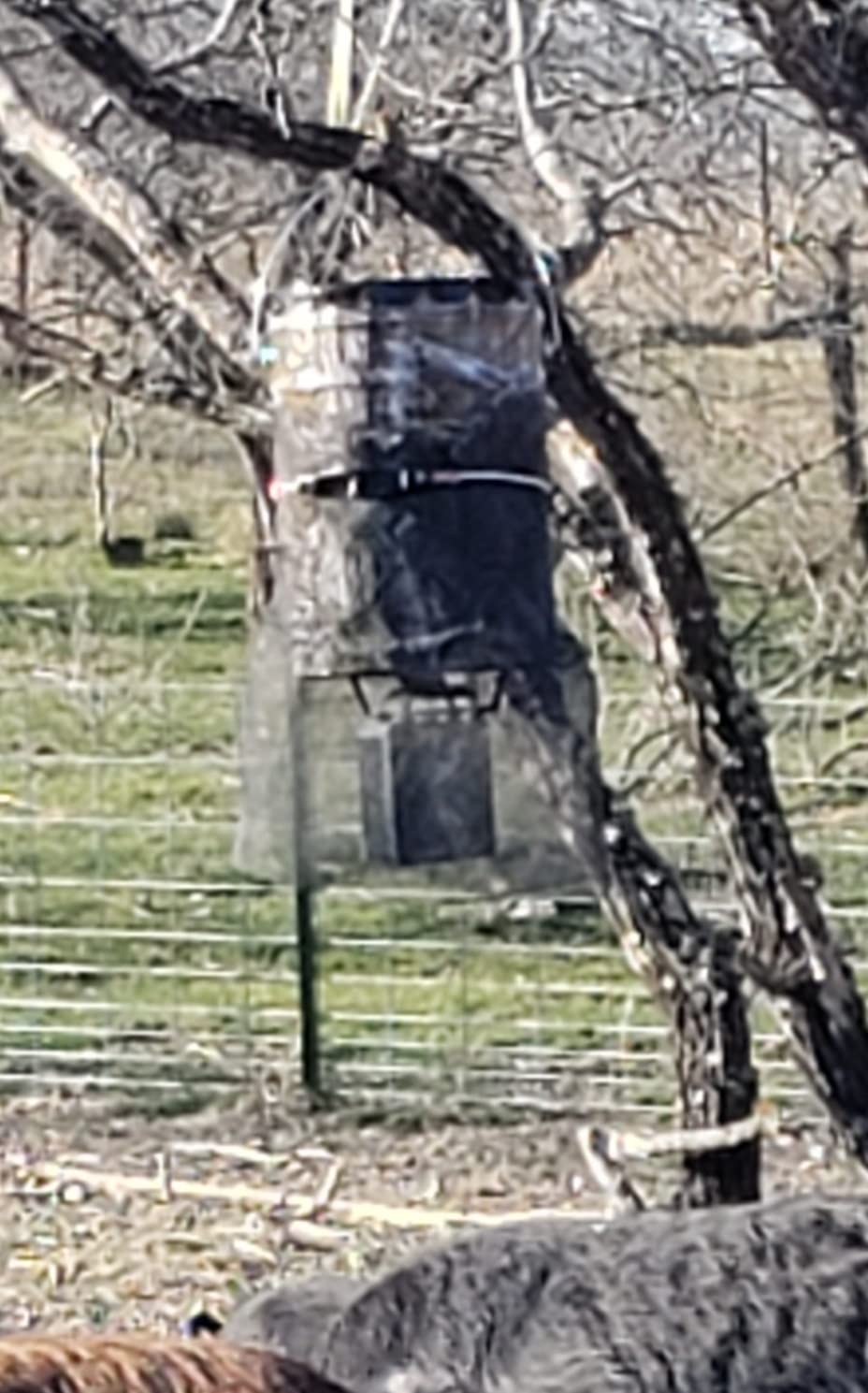 WILDGAME INNOVATIONS Quick-Set 50 lb Bucket Feeder with PCell Timer Hanging Wildlife Feeder for Corn & Pellet Feed with 1-2 Available Feed Times & 30 ft Radius customer photo 1