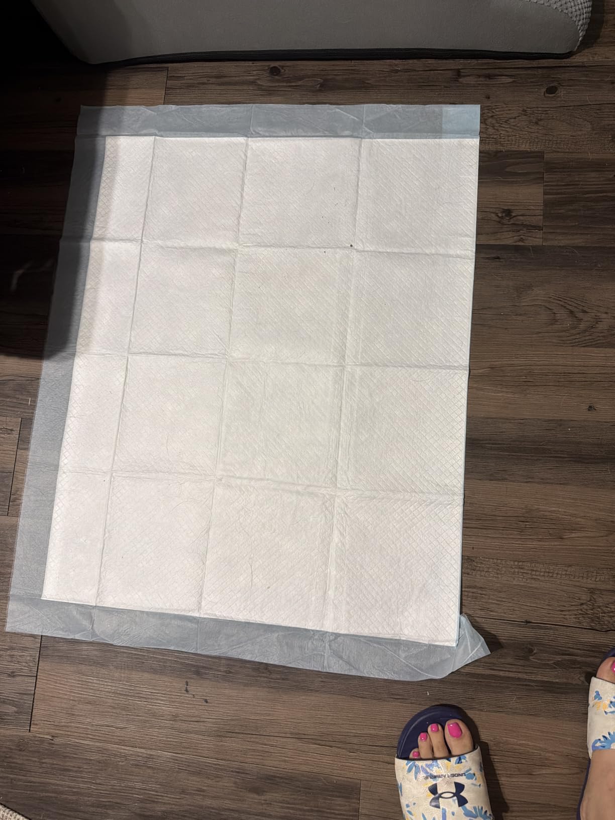 Amazon Basics Pee Pads customer photo 1