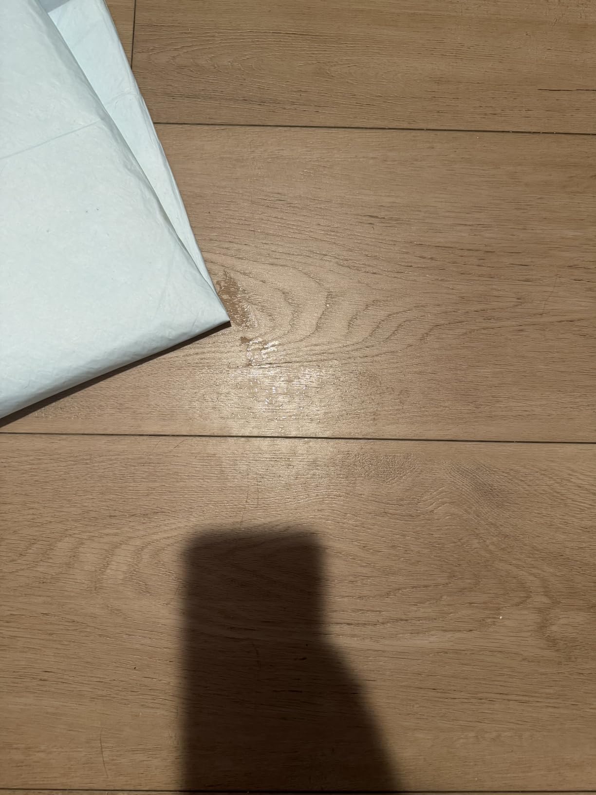 Amazon Basics Pee Pads customer photo 2