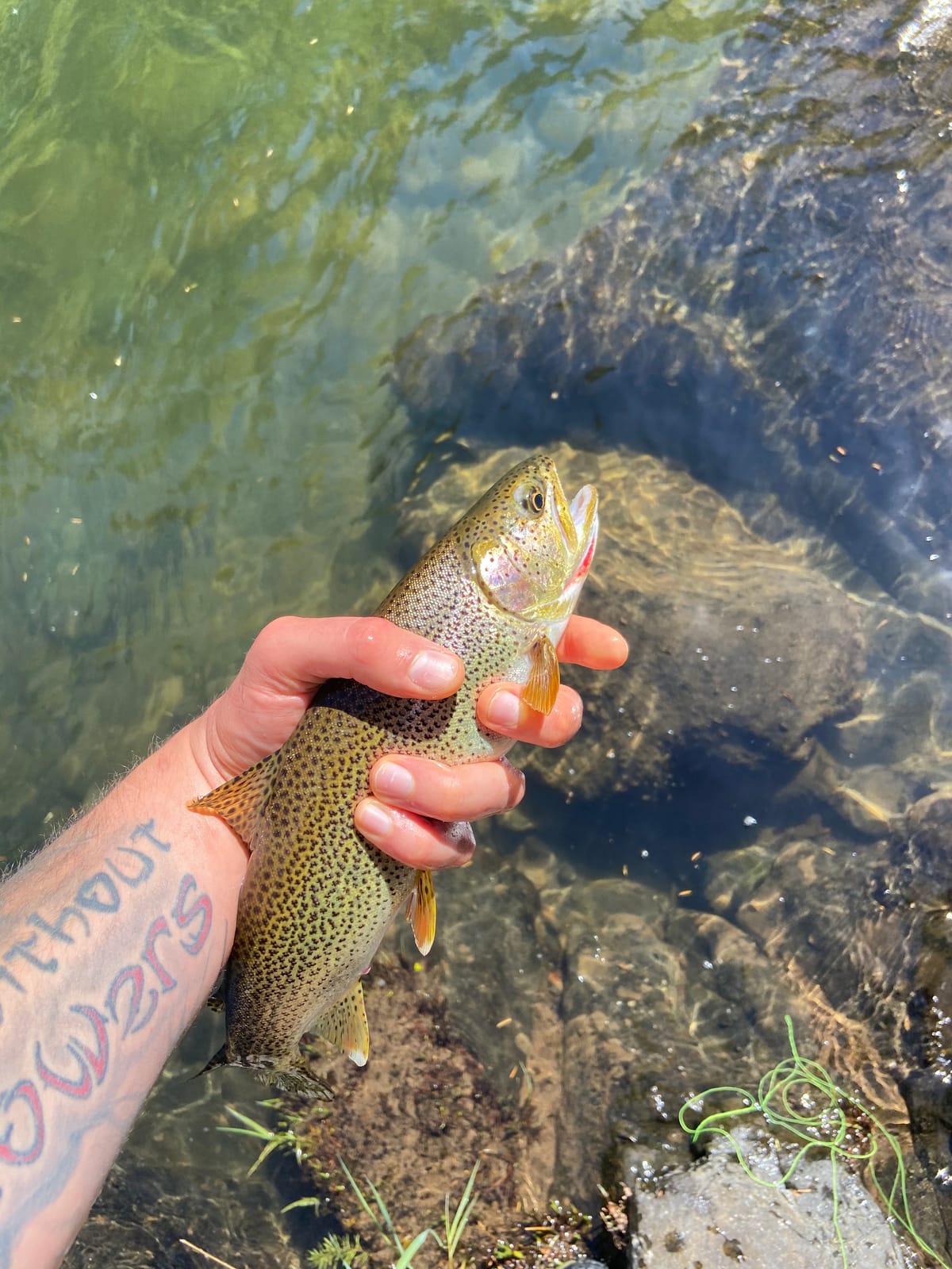 DRAGONtail Tenkara - Shadowfire 365 Tenkara Rod customer photo 2