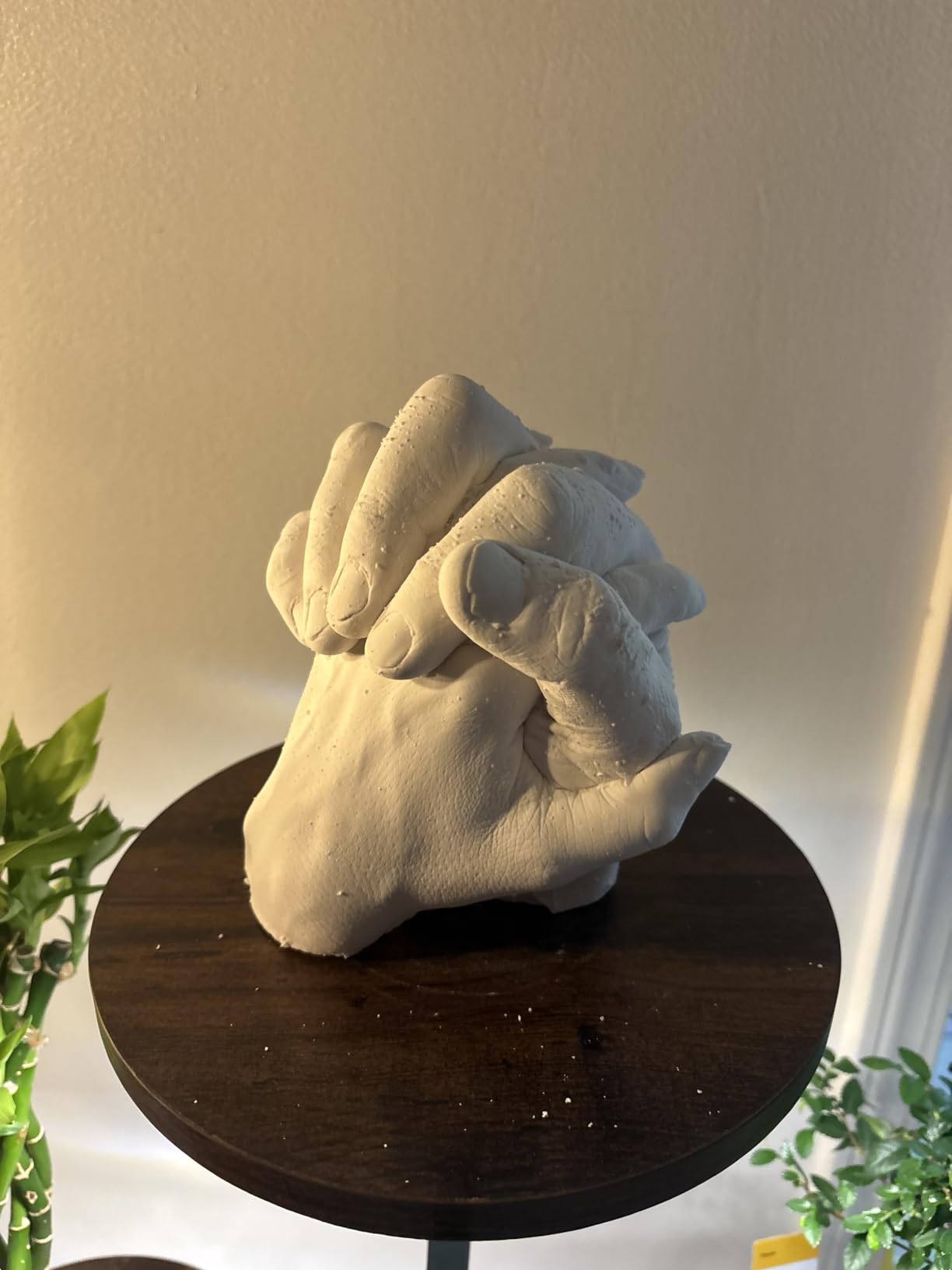 Luna Bean Hand Casting Kit customer photo 2
