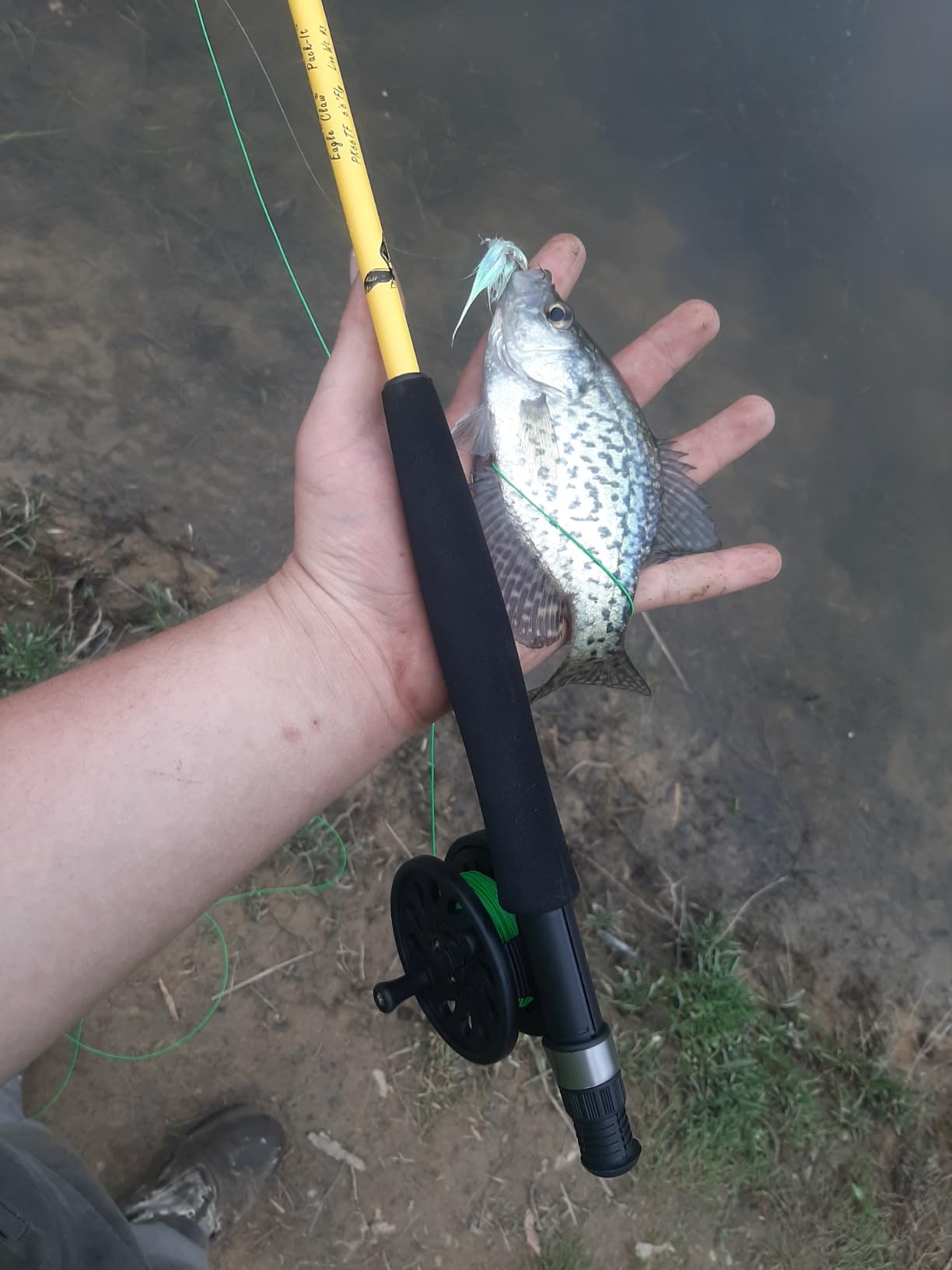 Eagle Claw PK66TF Pack-It Fly Combo, 6'6