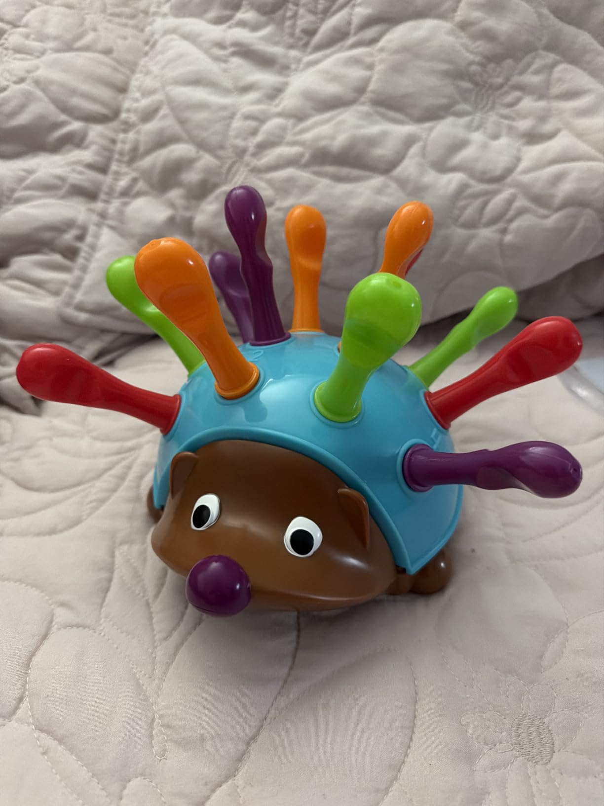 Spike Fine Motor Hedgehog customer photo 1