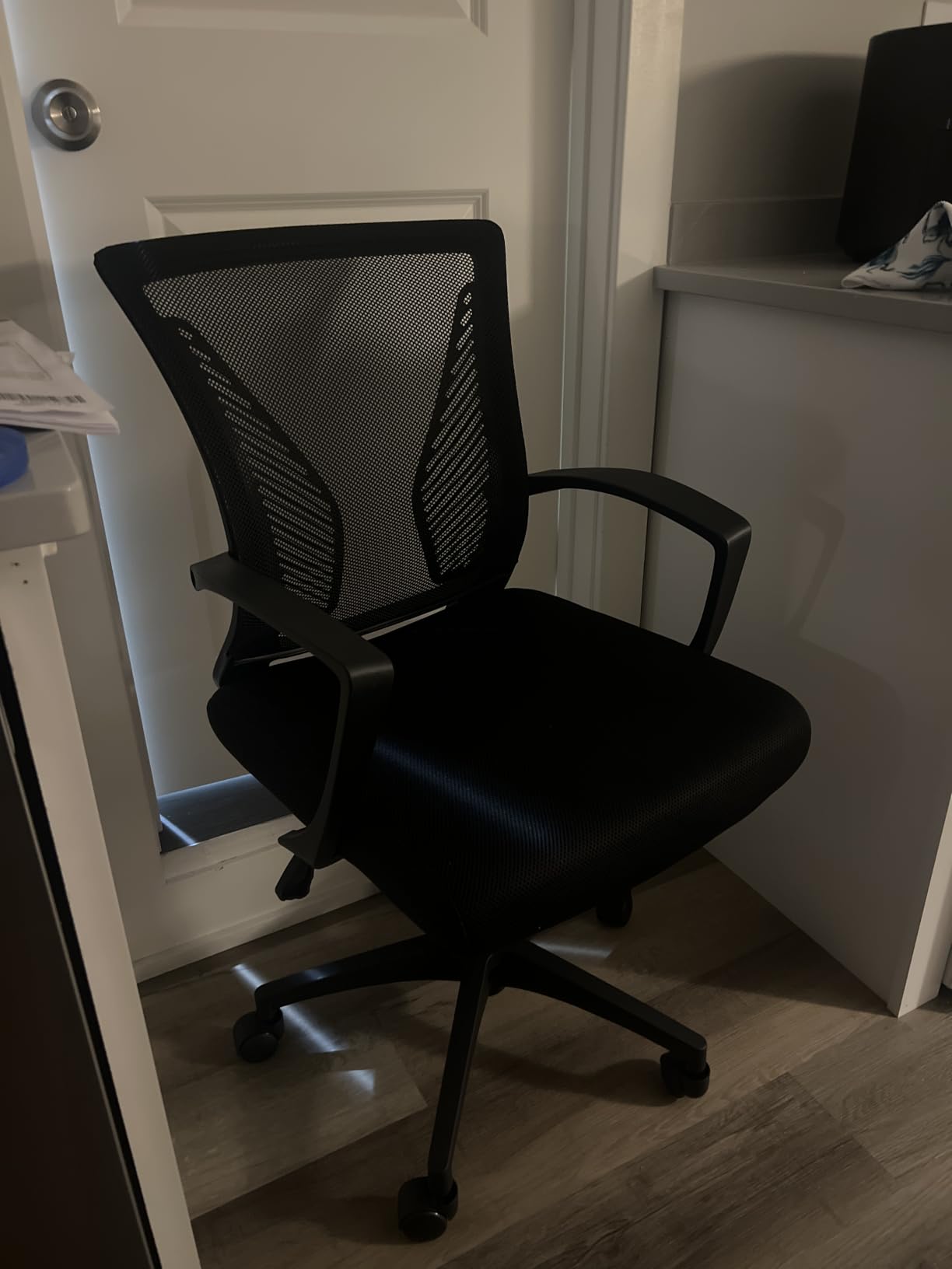 Furmax Reclining Mesh customer photo 1