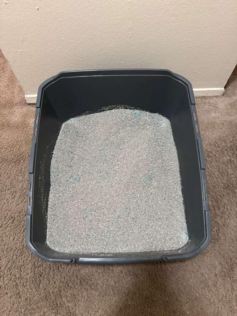 Fresh Step Deodorizer Crystals customer photo 2
