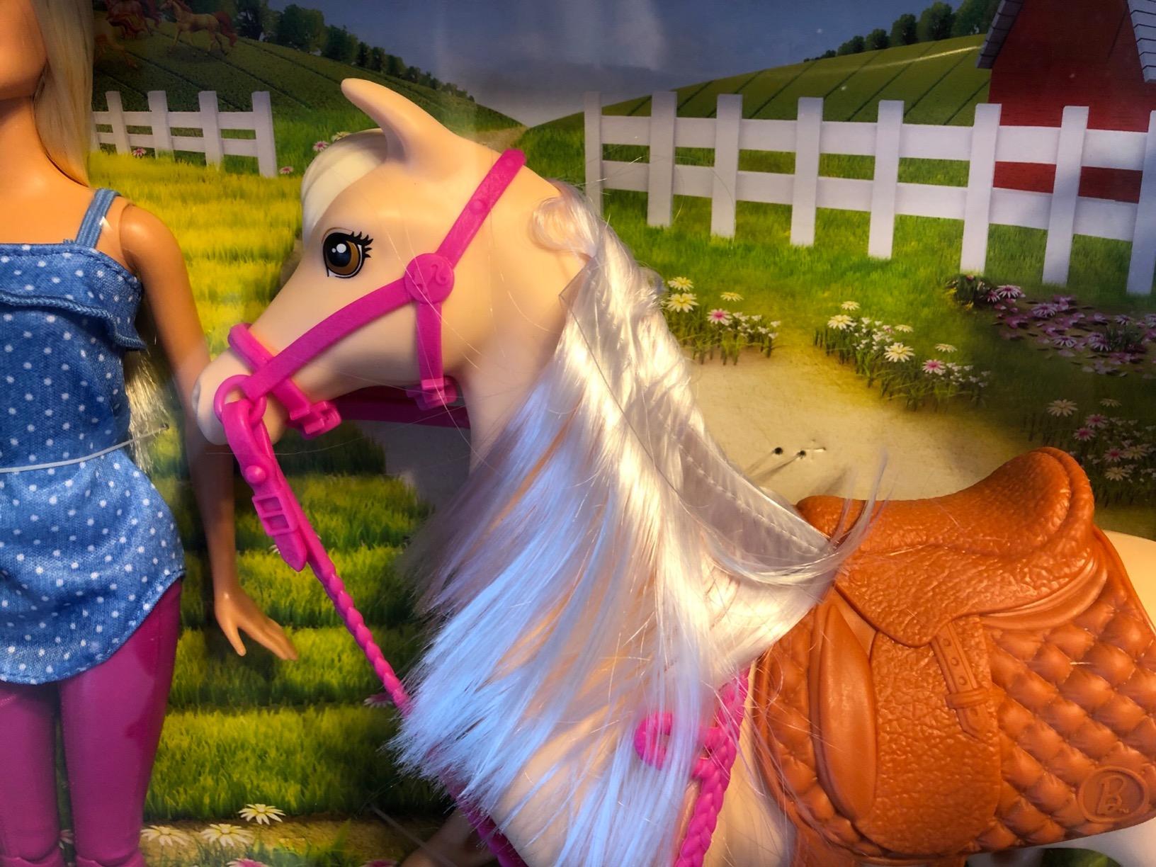 Barbie Horse Set customer photo 2