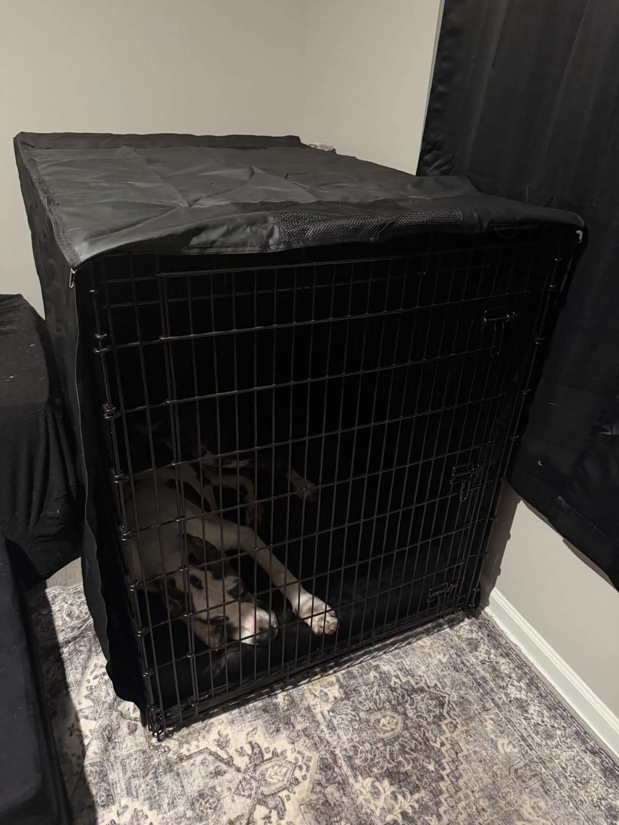 Explore Land Dog Crate Cover, 42 inches, Black customer photo 1