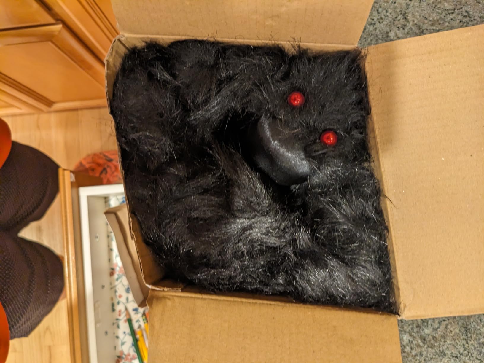 JOYIN Giant Spider Pack customer photo 1