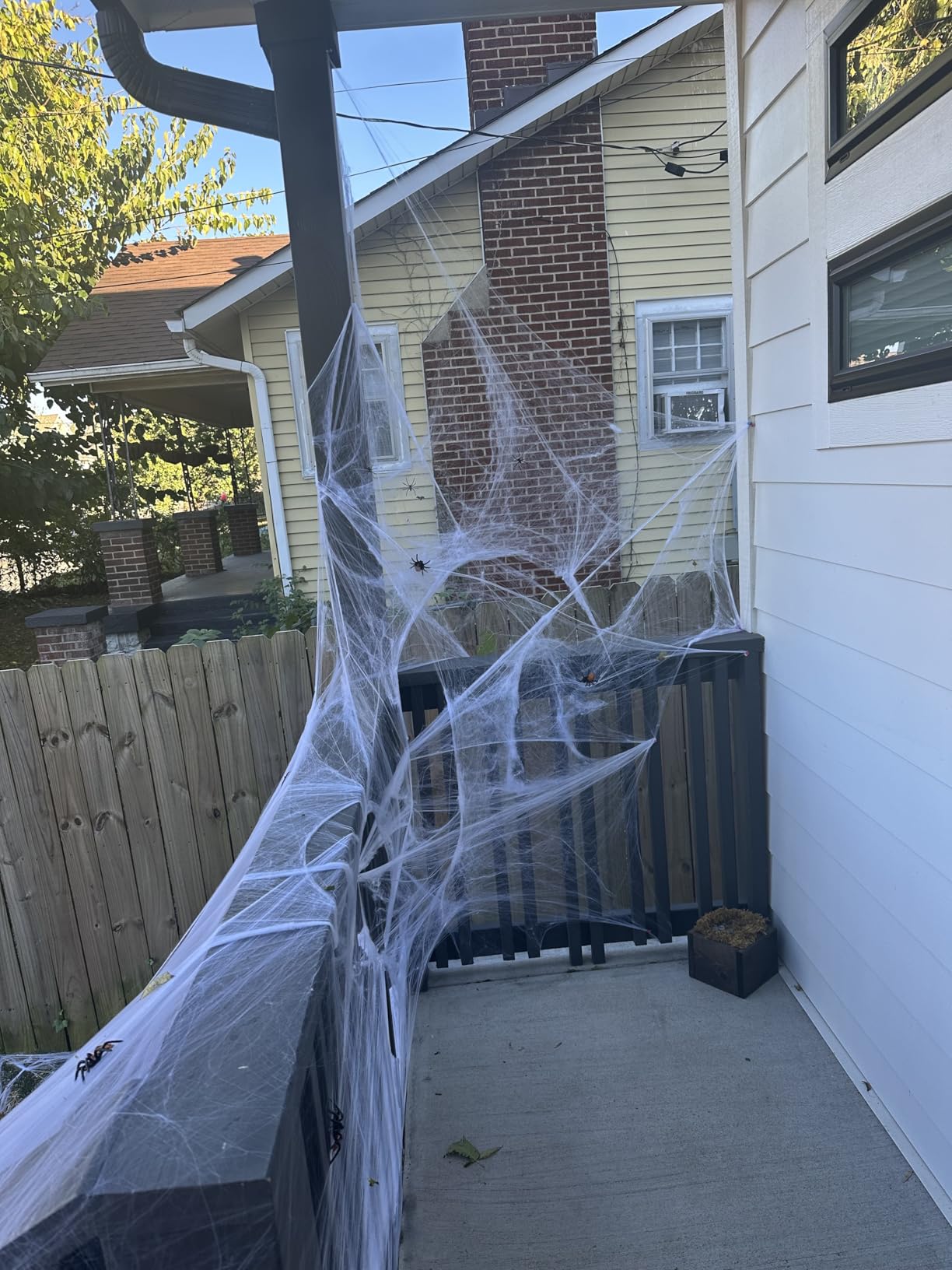 ZPISF 1400 sq ft Spider Webs customer photo 2