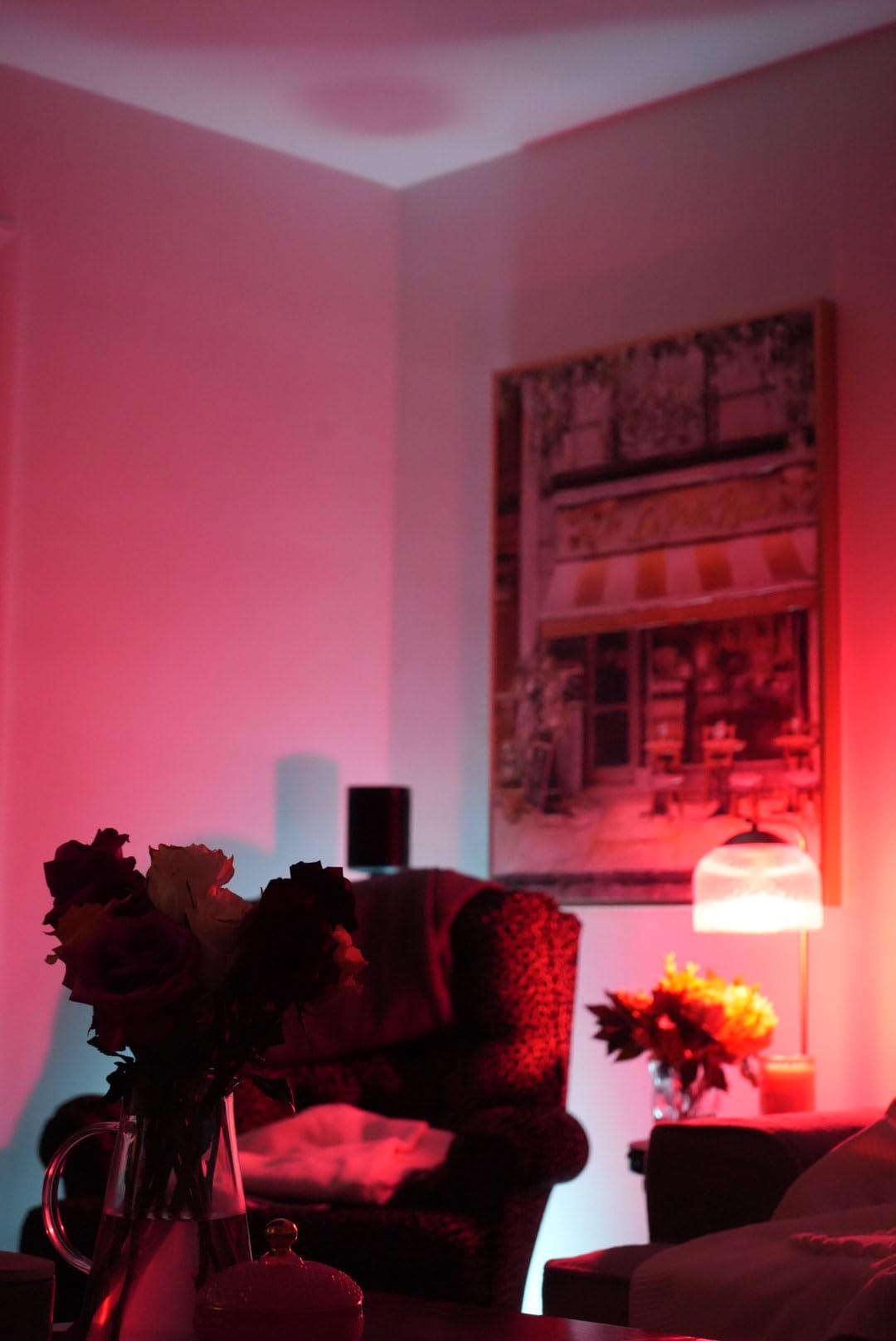 Philips Hue Go Lamp customer photo 2