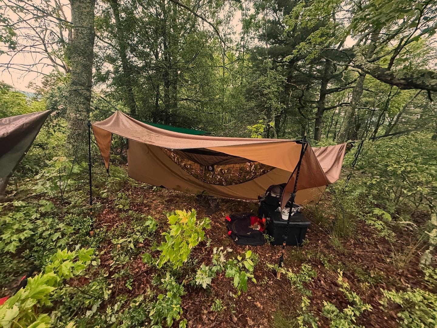 OneTigris KOMPOUND Camping Hammock with Net & Inner Thermal Layer customer photo 2