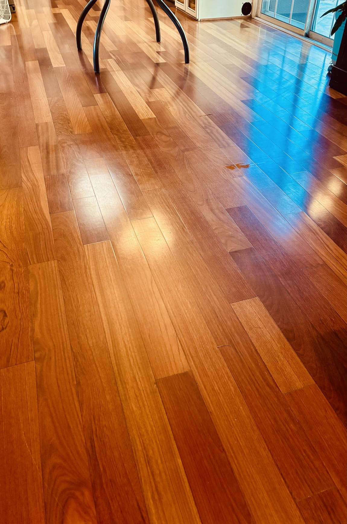 Bissell SpinWave 20393 customer photo 2