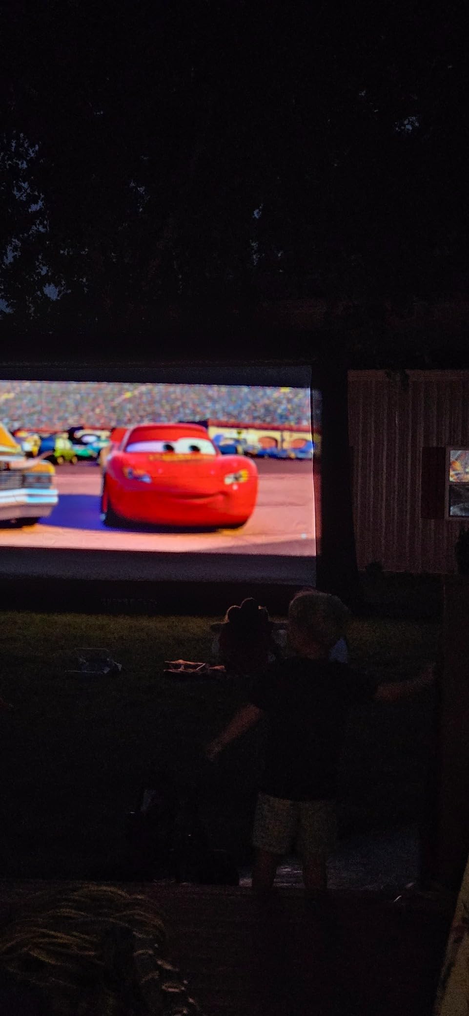 VEVOR Inflatable Projector Screen for Outdoor Use with 350W Air Blower customer photo 1