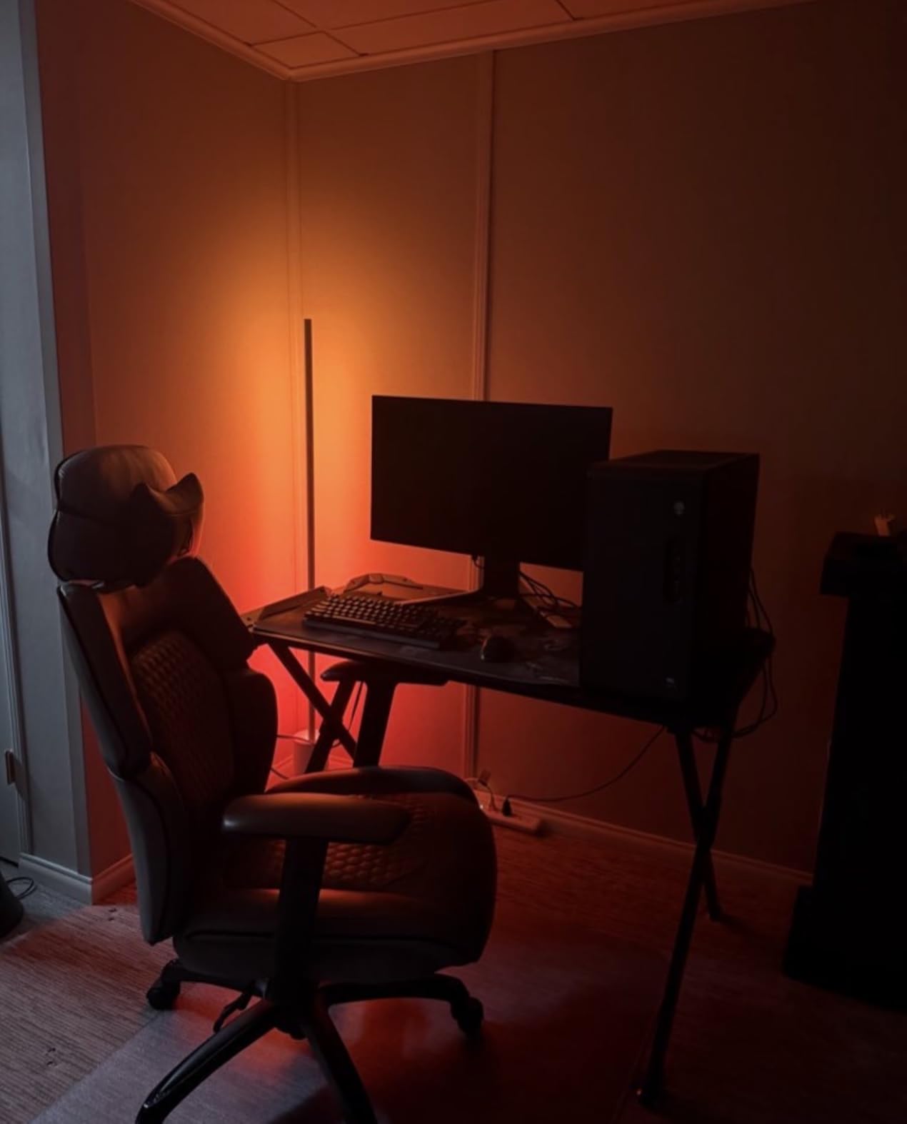 Philips Hue Signe Floor Lamp customer photo 2