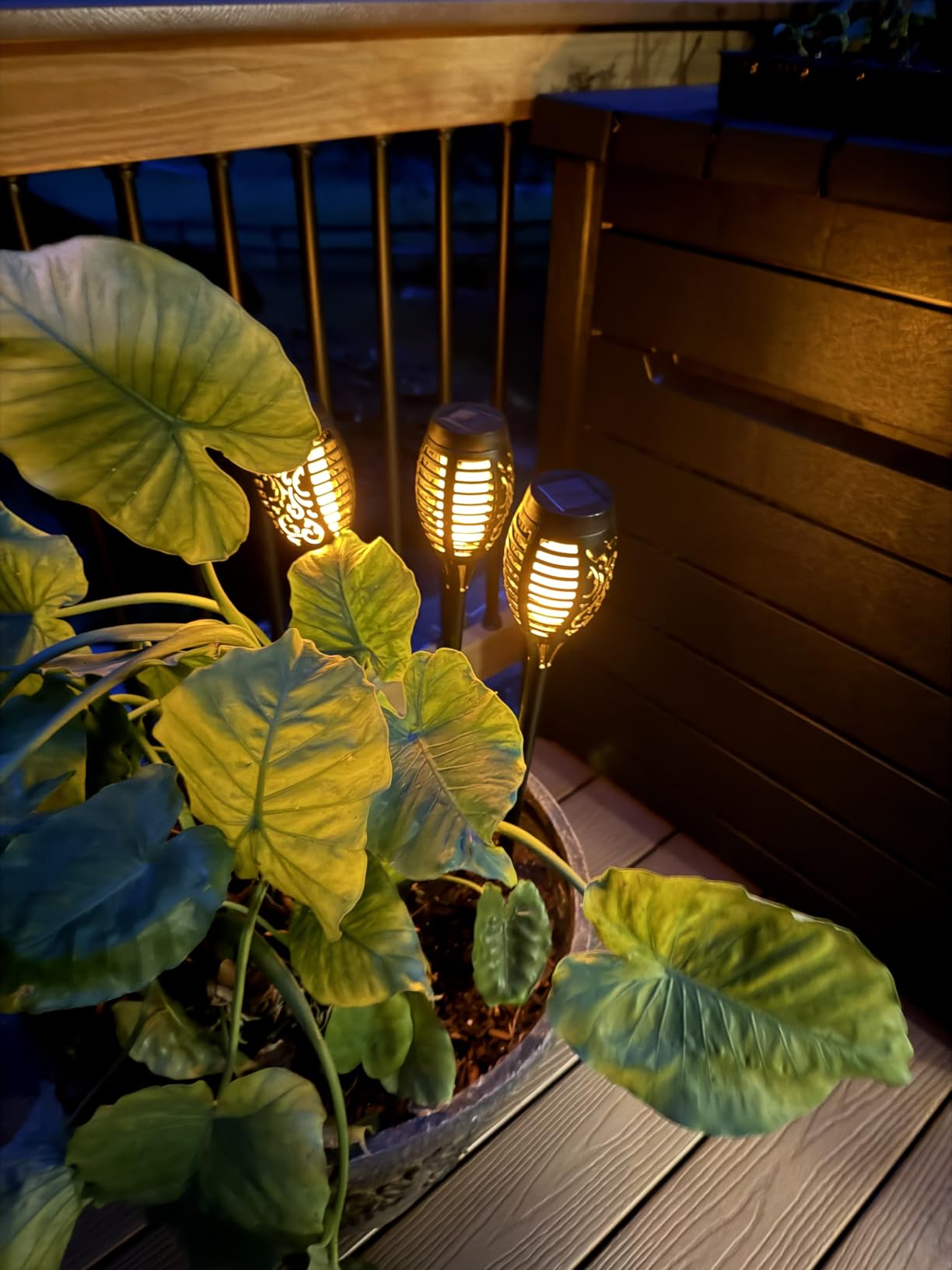 IkeeRuic Solar Torch Lights customer photo 2