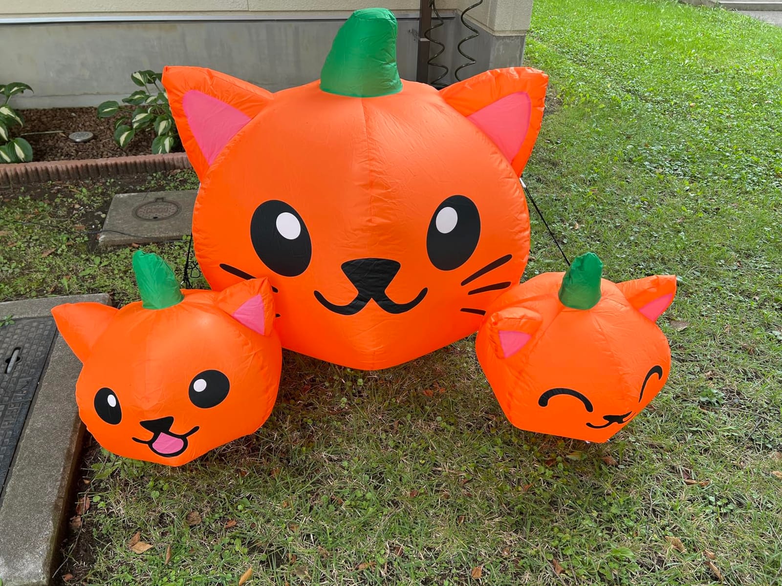 COMIN Cat Head Inflatable customer photo 1