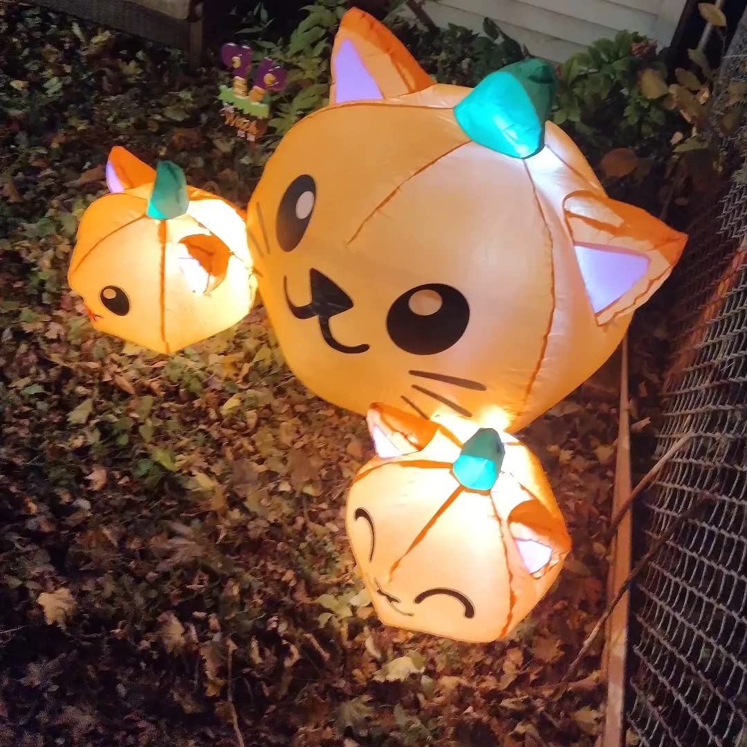 COMIN Cat Head Inflatable customer photo 2