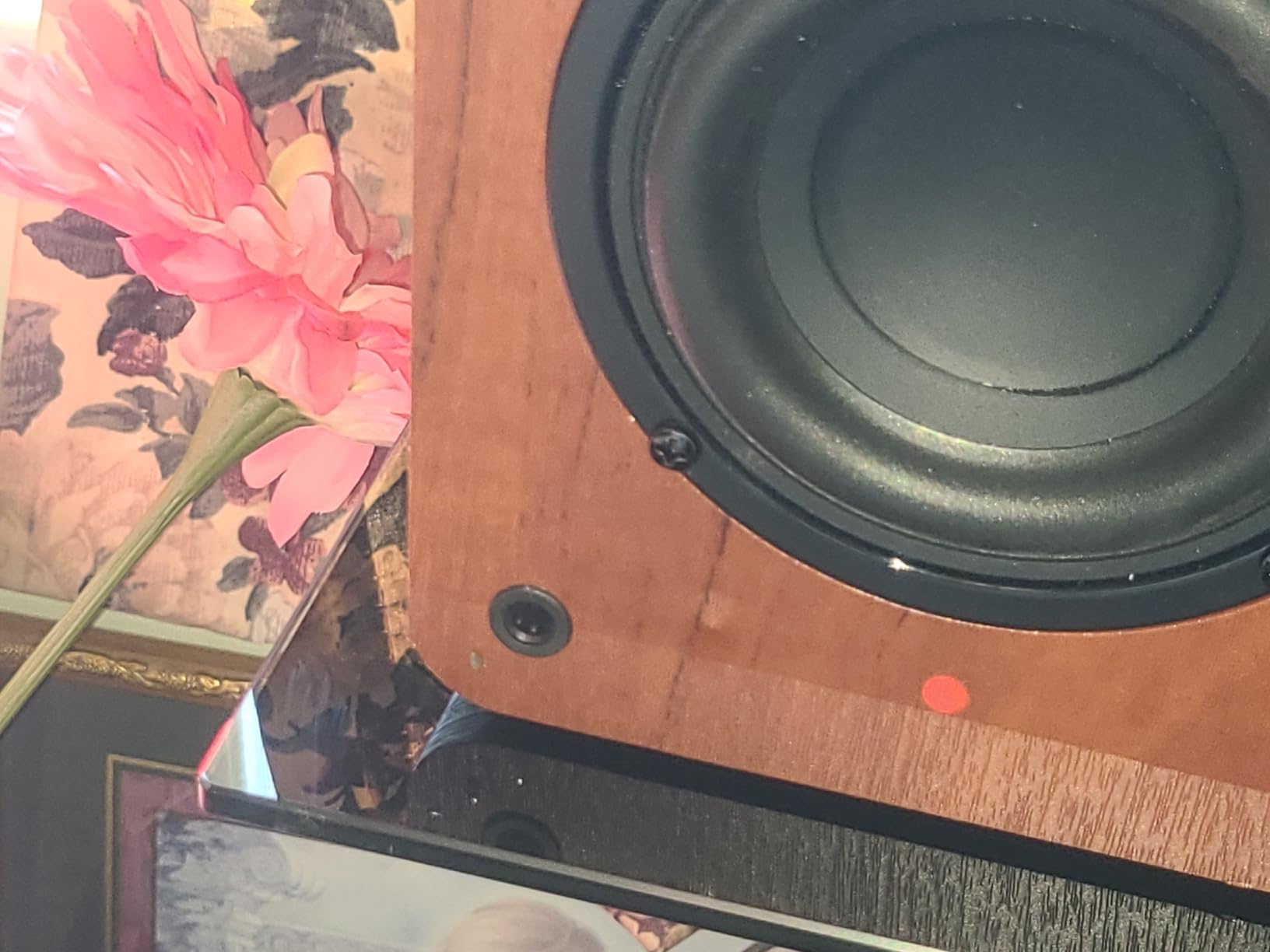 Saiyin Powered Bluetooth Bookshelf Speakers customer photo 1