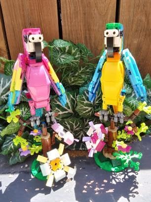 LEGO Exotic Parrot 31136 customer photo 1