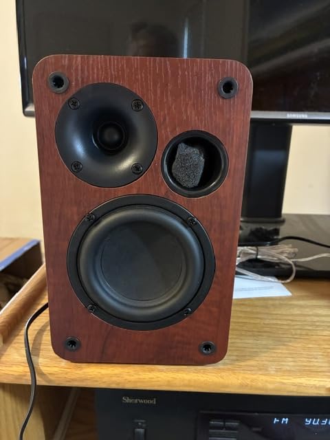 Saiyin Powered Bluetooth Bookshelf Speakers customer photo 1