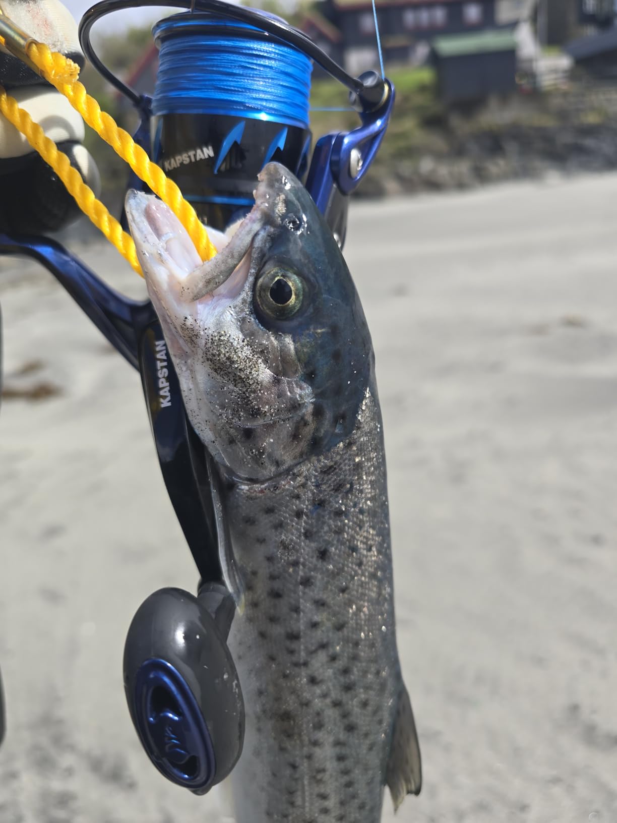 KastKing Kapstan & Elite Saltwater Spinning Fishing Reels customer photo 1