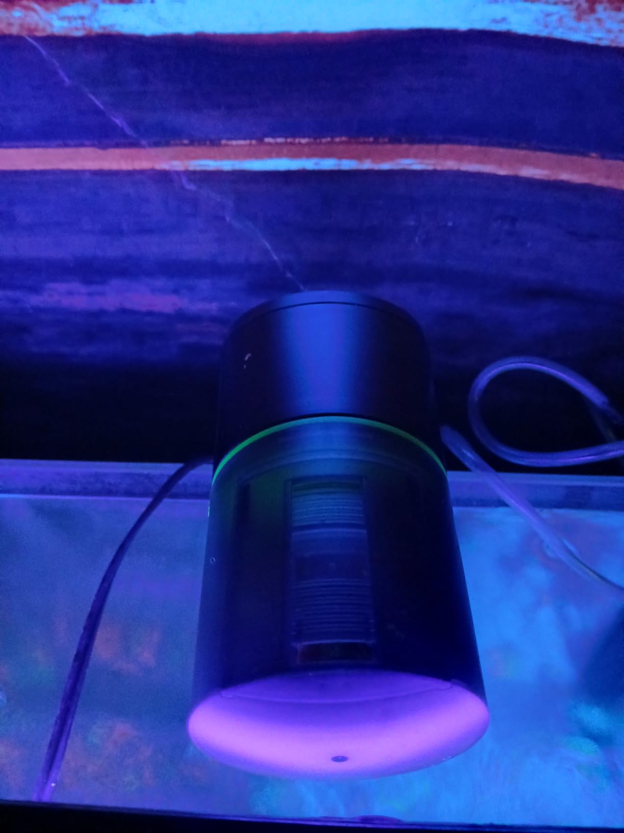 Automatic Fish Feeder for Aquarium Easy Setup & 12/24/48H Interval customer photo 2