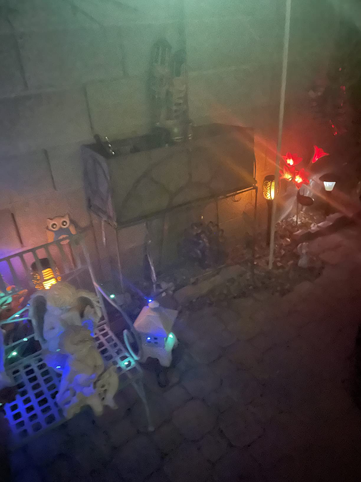 YIQU Solar Eyeball Lights customer photo 2