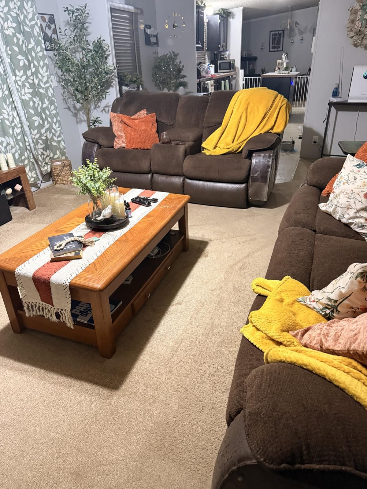 Shark CarpetXpert Upright Carpet & Built-in Stain Cleaner, 3 Tools, EX151 customer photo 1