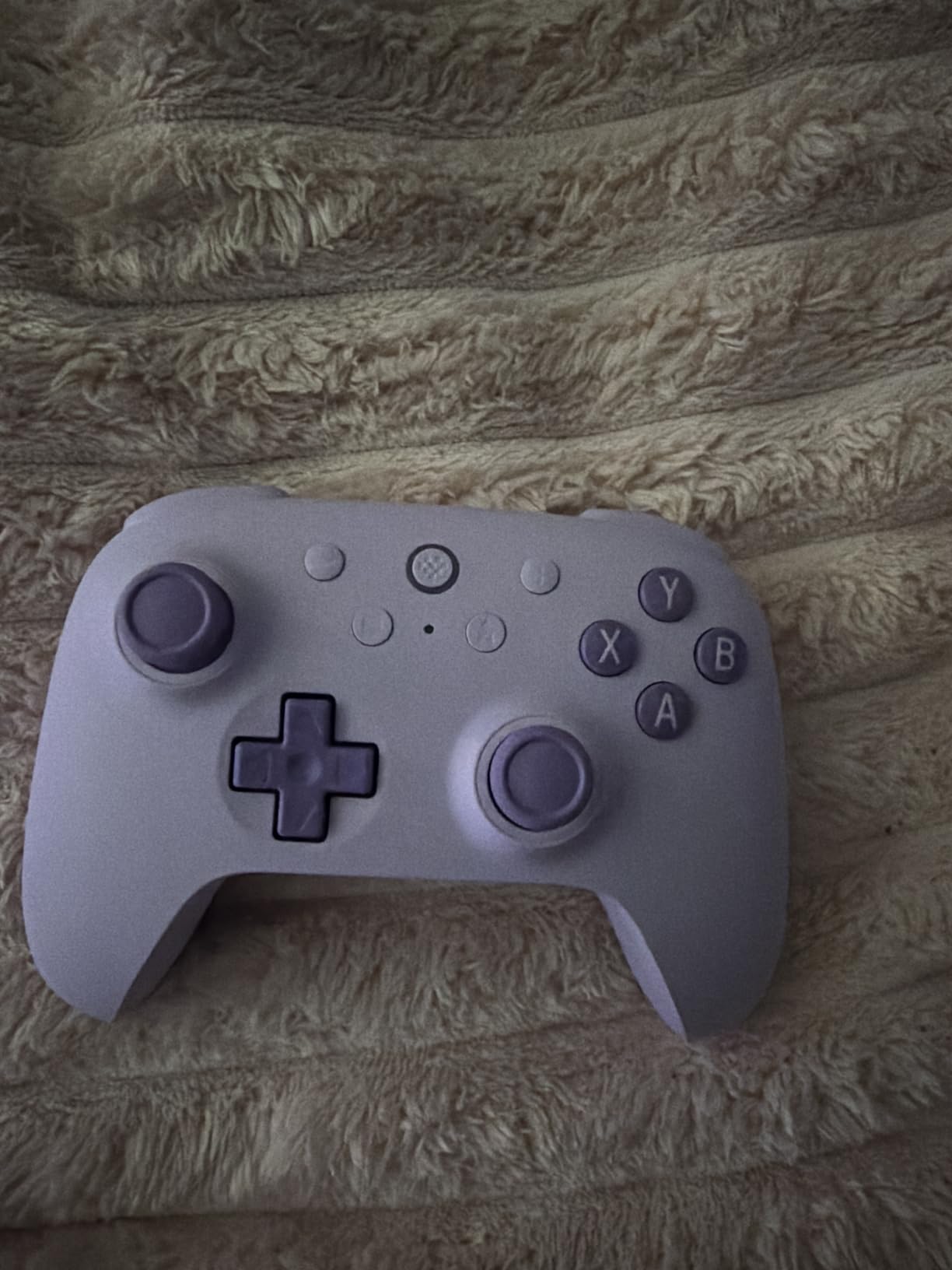 8Bitdo Ultimate 2C customer photo 1