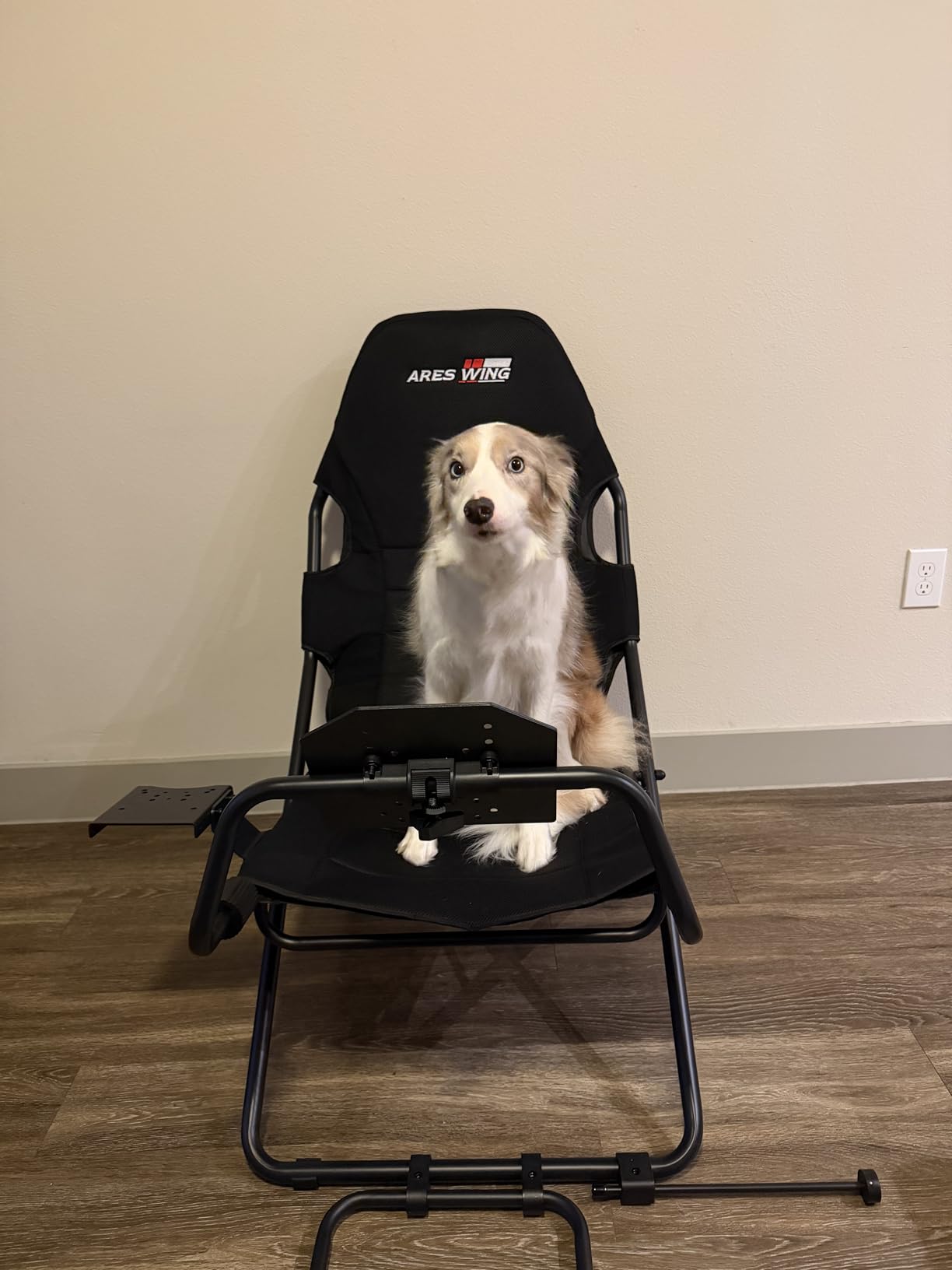 ARES WING Foldable Sim Racing Cockpit with Seat for Small Spaces customer photo 2