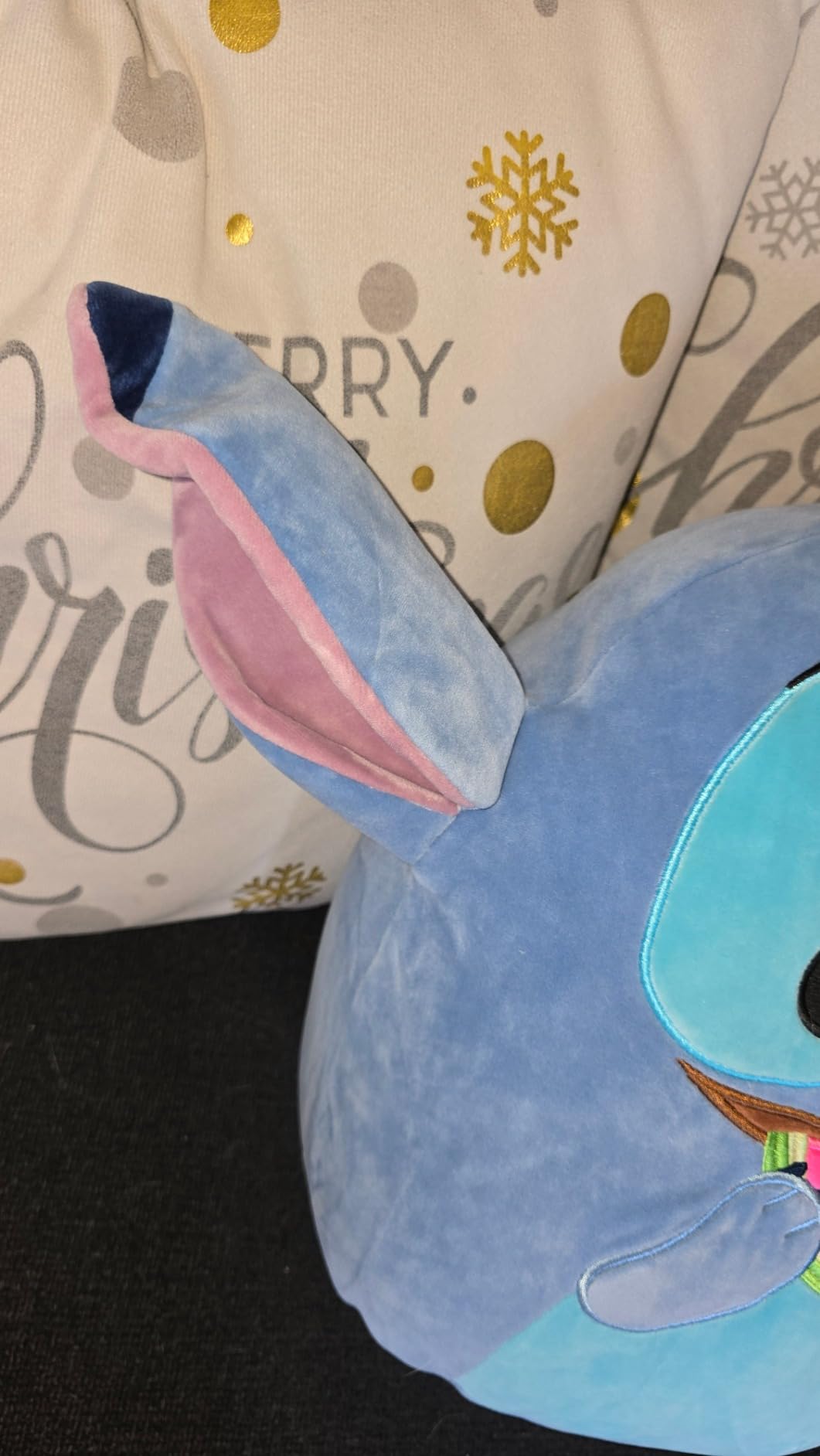 Disney Leroy 14-Inch customer photo 2