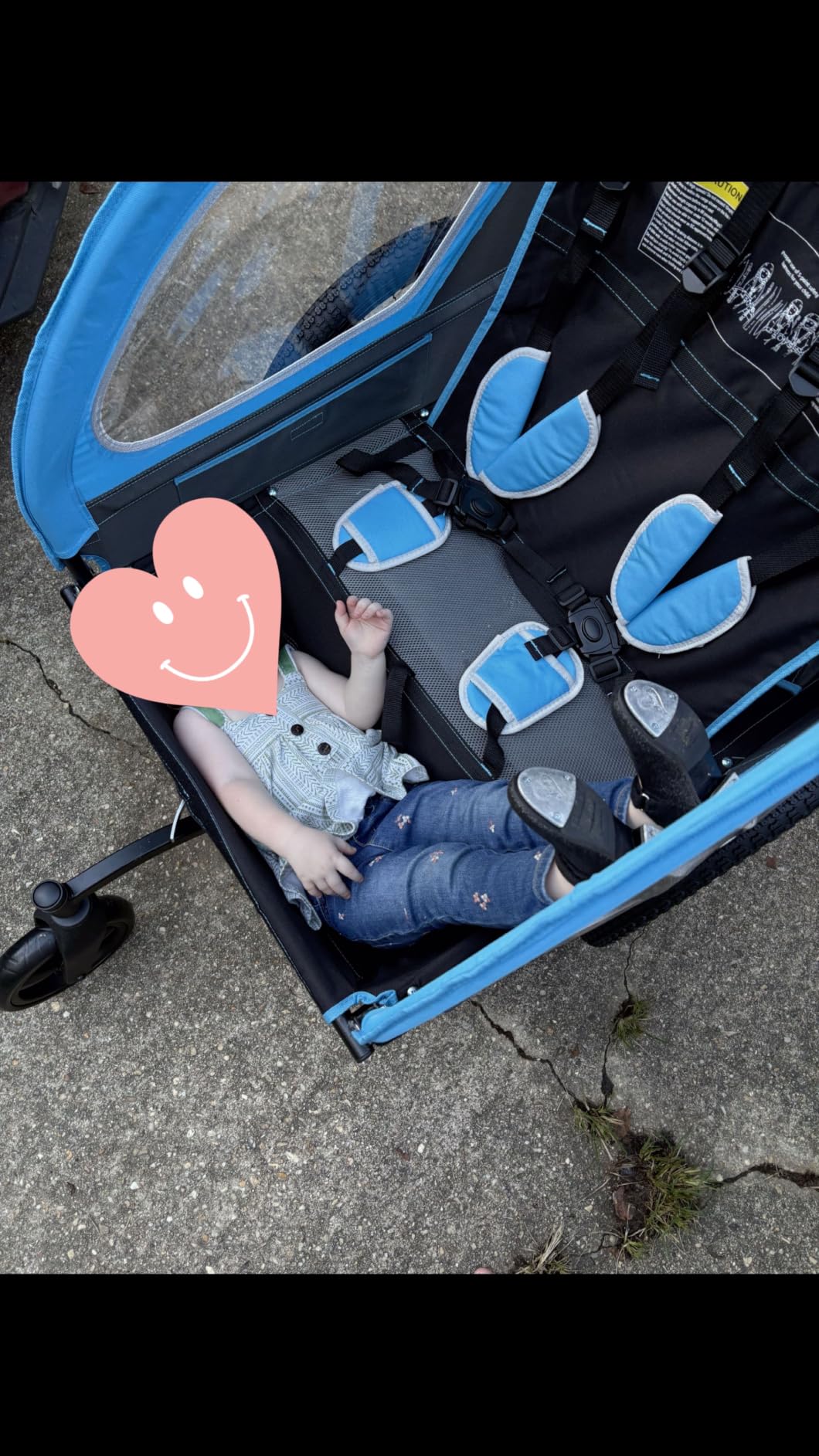 Sepnine Kids Bike Trailer, 2 in1 Canopy Carrier Converts to Pushcart Suitable for 1 to 2 Toddlers, Kids, Quick Attach to Bike, Foldable, with 5-Point Harness and Storage Bags customer photo 2