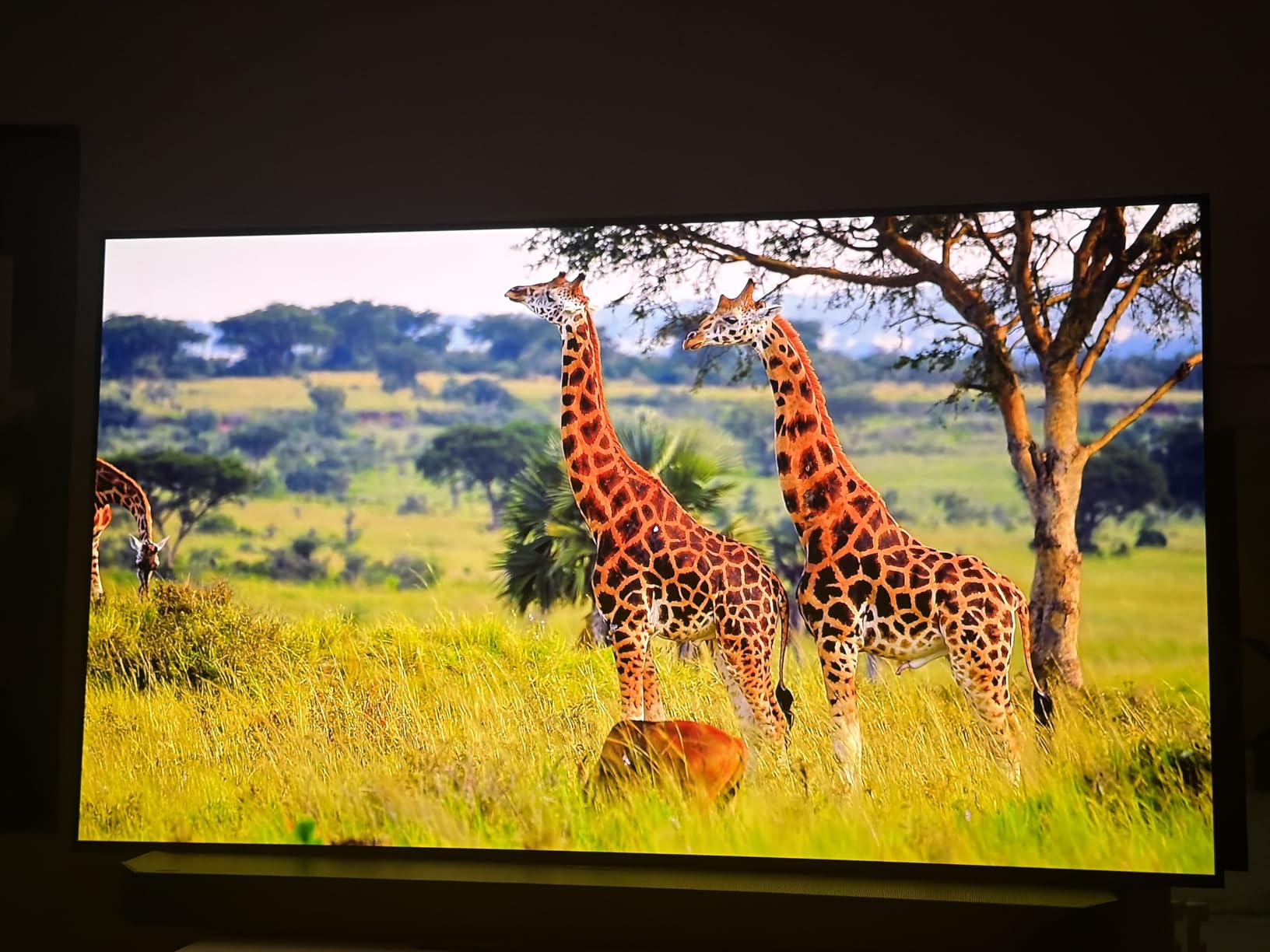 Samsung 48-Inch Class S90F Smart TV (2025 Model, 48S90F), NQ4 Gen3 Processor, Upscaling Pro, HDR+, Motion Xcelerator 144Hz, Vision, Alexa Built-in, 4K UHD customer photo 1