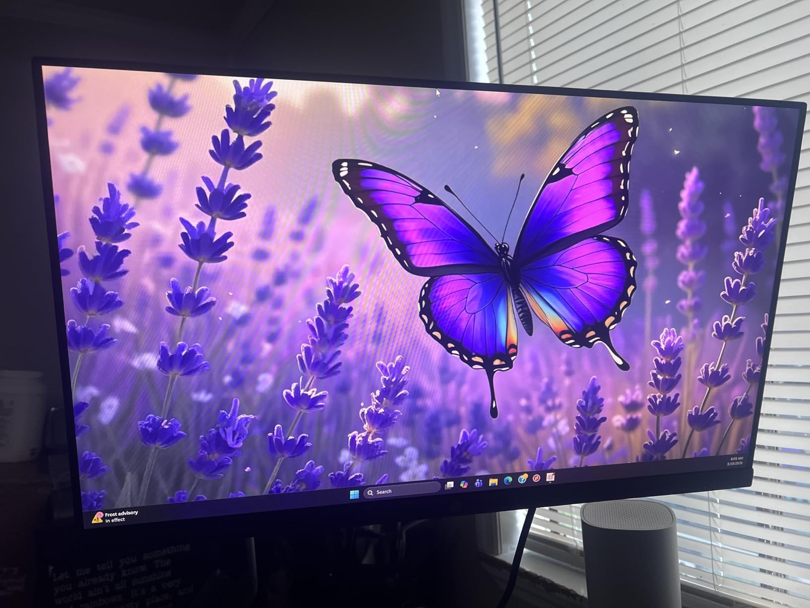 HP Series 3 27-inch Monitor customer photo 1