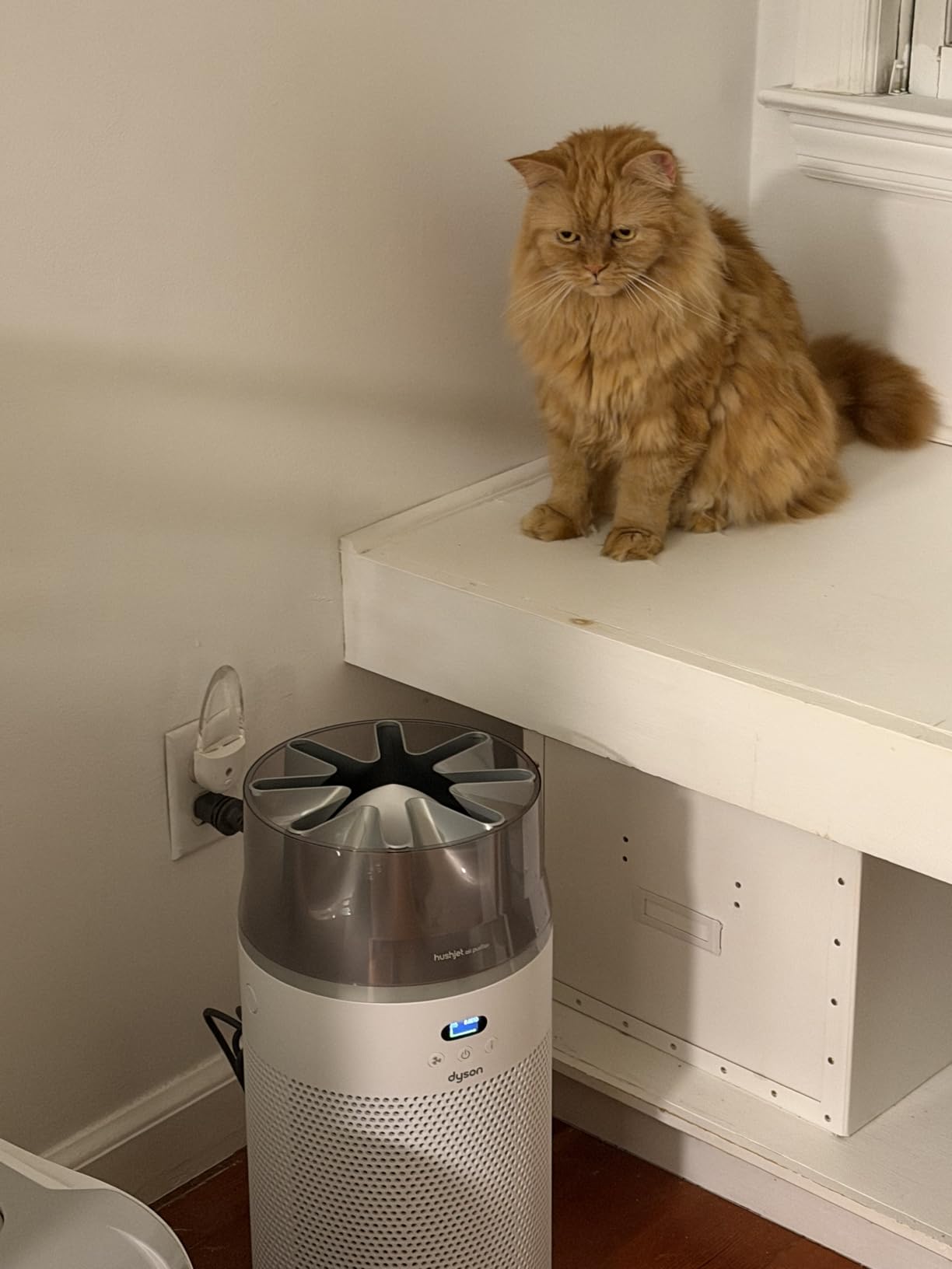 Dyson Hushjet Compact customer photo 2