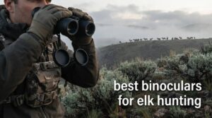 best binoculars for elk hunting